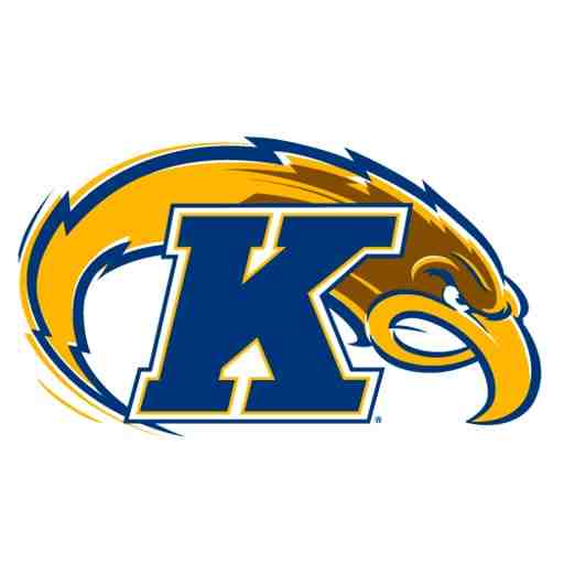 Kent State Golden Flashes Women's Basketball