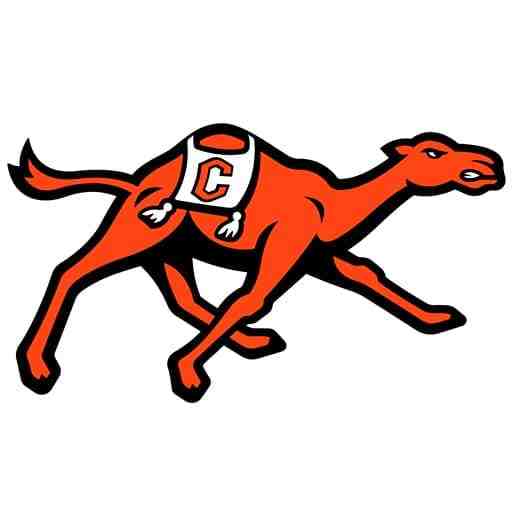 Campbell Fighting Camels